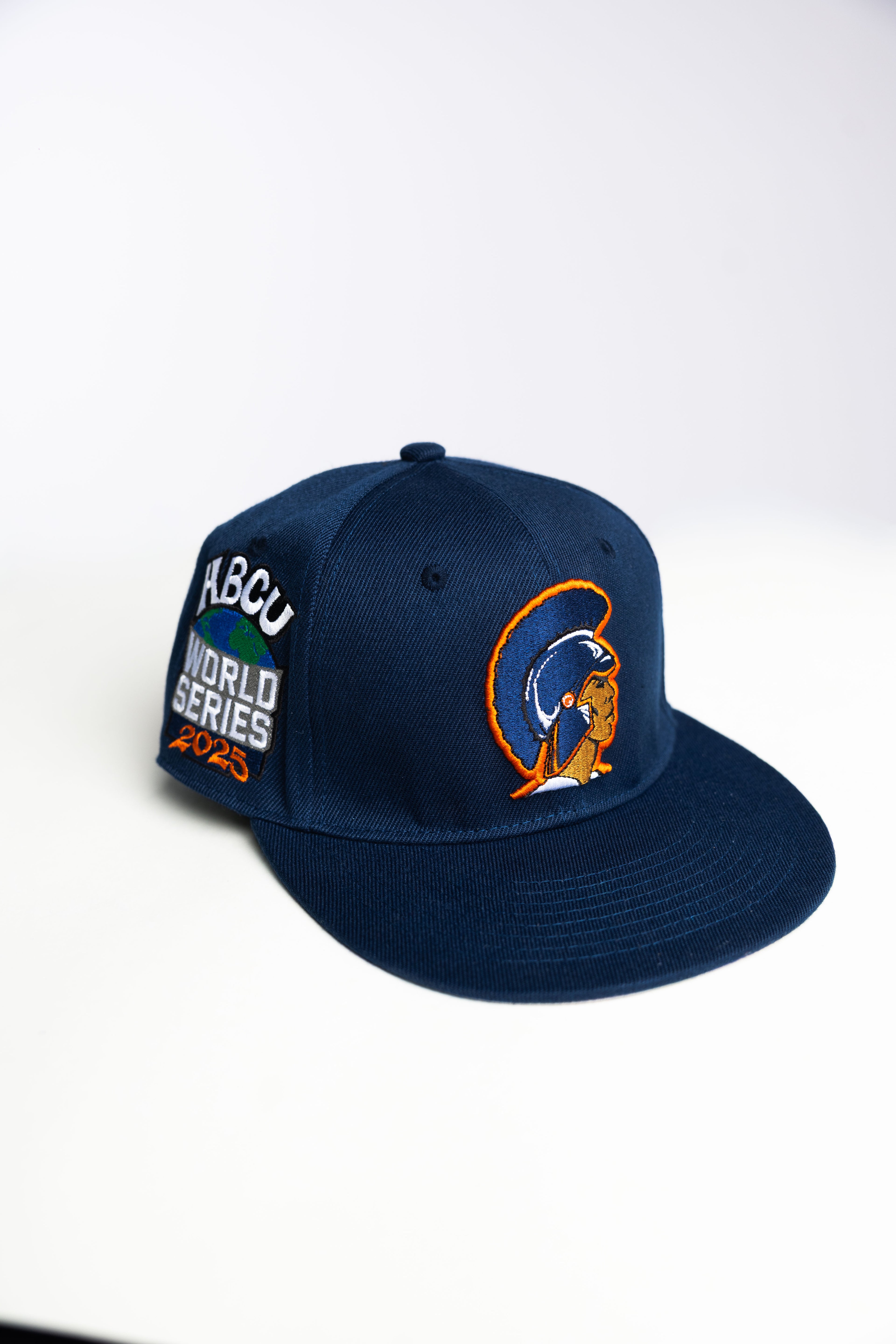 Fitted Hat